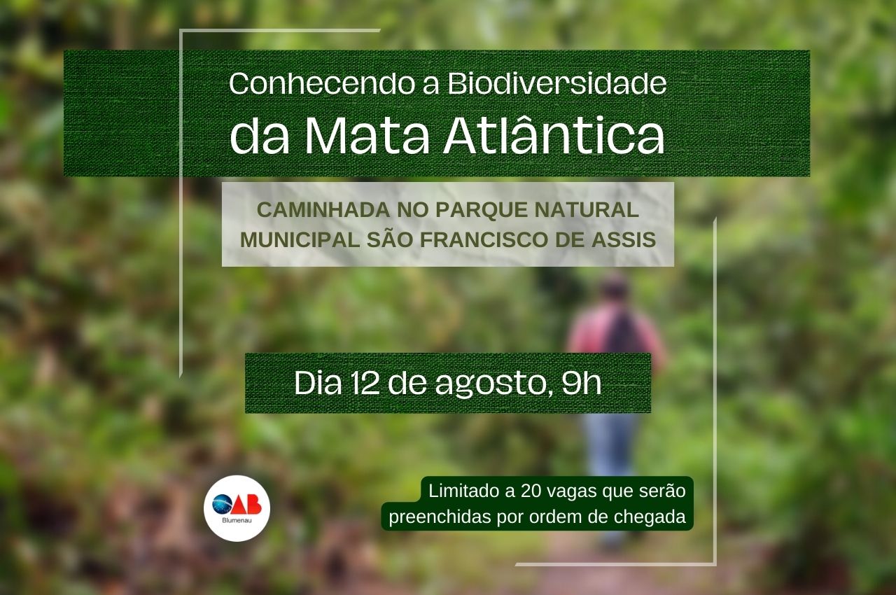 20220802 ambiente caminhada SITE