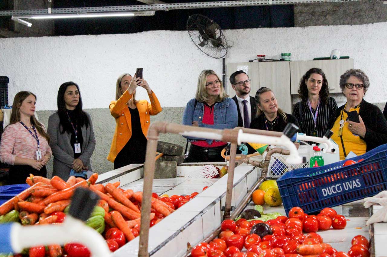 20231023 CIDADA ALIMENTOS SITE2