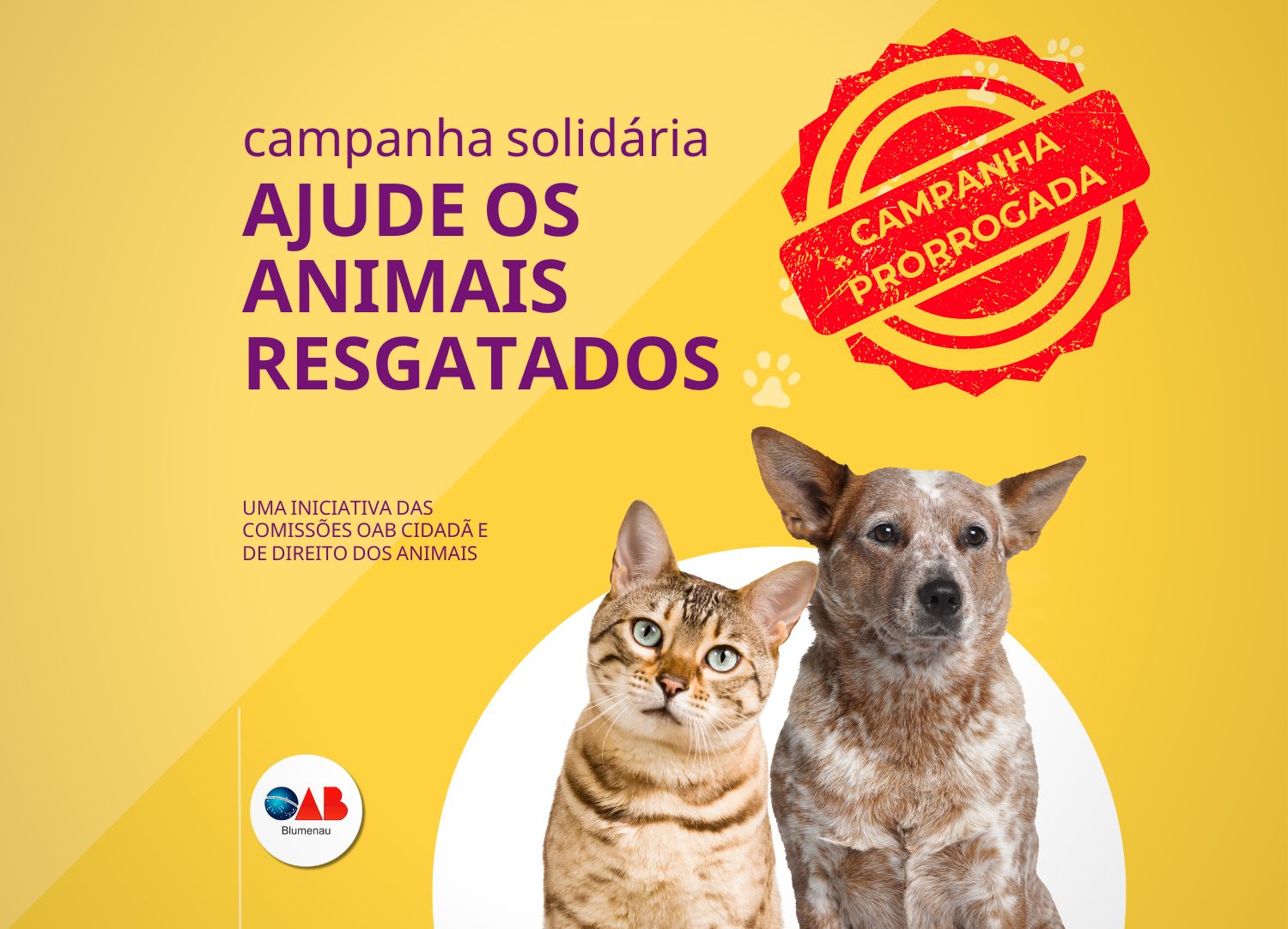 20240730 CIDADA CAMPANHA 2 SITE