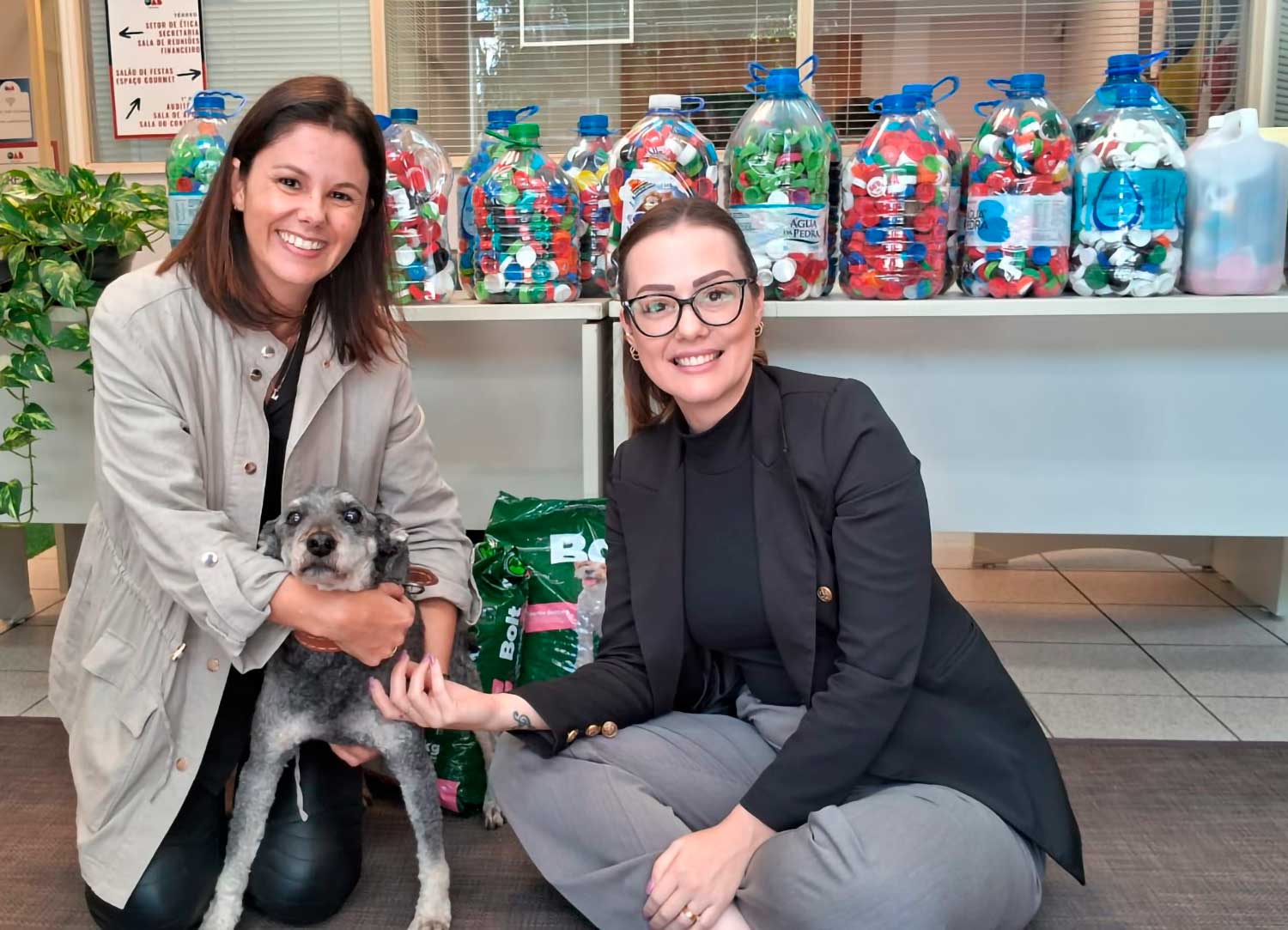 20240808 cidada animais campanha site