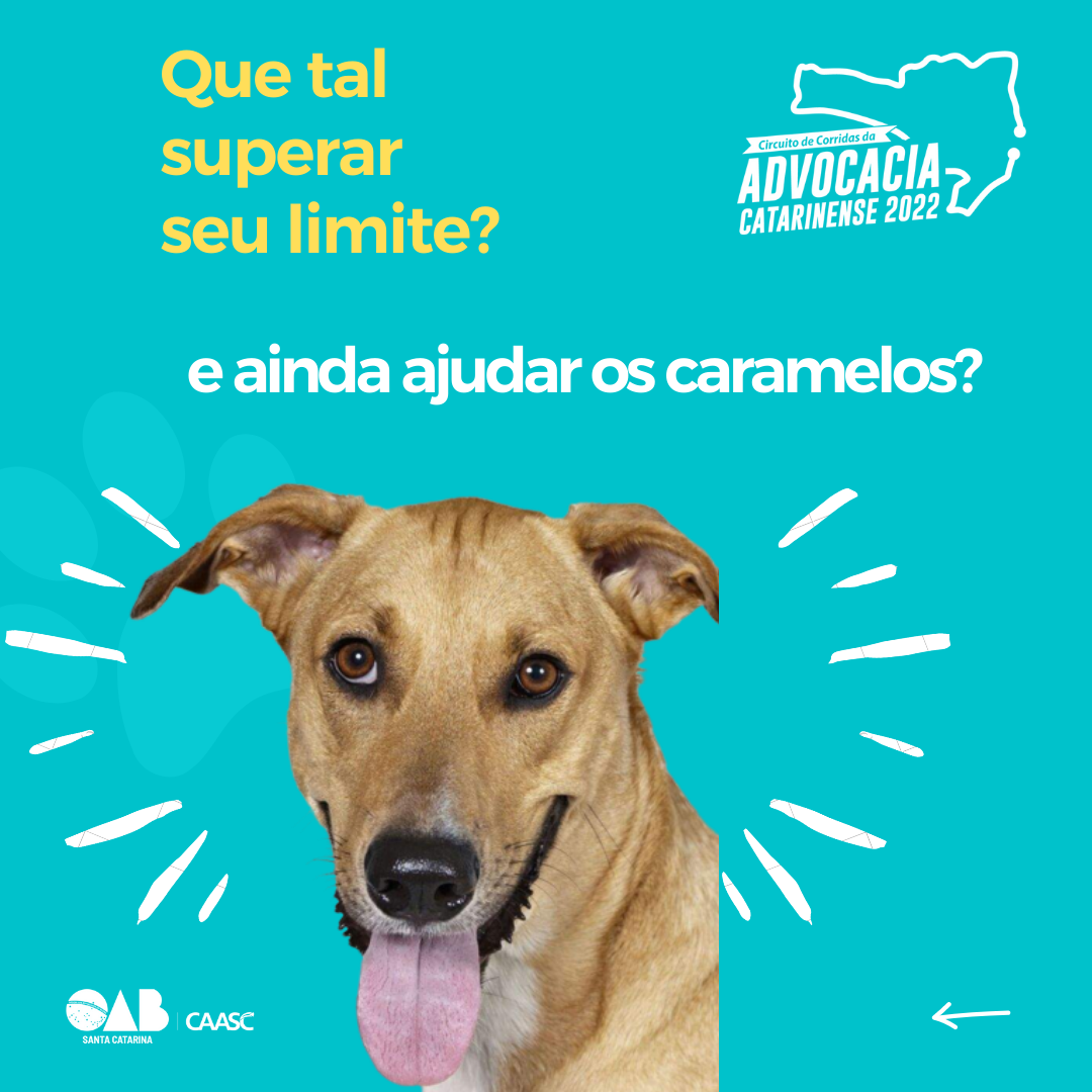 Que tal superar seu limite