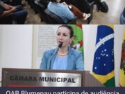 OAB Blumenau participa de audiência pública sobre segurança nas escolas