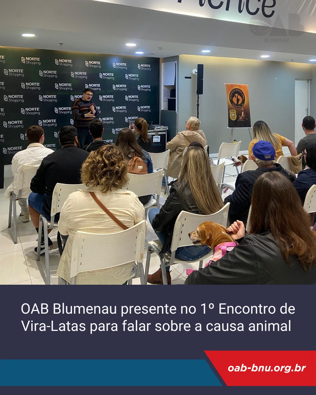 Comissão de Direito dos Animais participa do     1º Encontro de Vira-Latas em Blumenau
